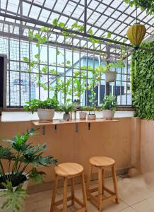 Fotografie z fotogalerie ubytování Northern Hostel - Bui Vien Walking Street v Ho Či Minově městě