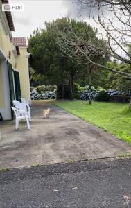 Κήπος έξω από το Casa dos Plátanos