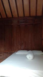 Afbeelding uit fotogalerij van Omah Jowo homestay in Adi Sutjipto