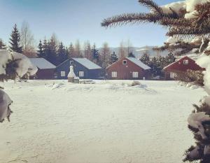 a snow covered field with houses and a christmas tree at Stanica pod Zadzierną Domki całoroczne in Lubawka