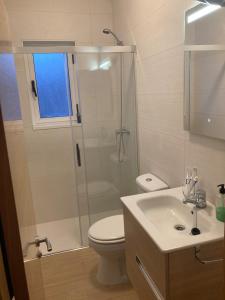 a bathroom with a shower and a toilet and a sink at Apartamento en Sotrondio in Sotrondio