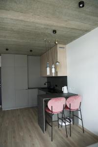 Η κουζίνα ή μικρή κουζίνα στο Ralio apartamentai monkey