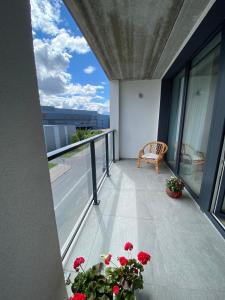 Μπαλκόνι ή βεράντα στο Ralio apartamentai monkey