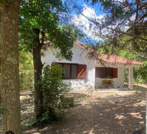 une maison blanche avec un arbre devant dans l'établissement Chalet Fratelli Rigoni, à Villa Ciudad Parque