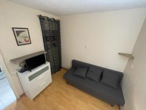 un salon avec un canapé et une télévision dans l'établissement EK Studio Appartement, à Saint Etienne