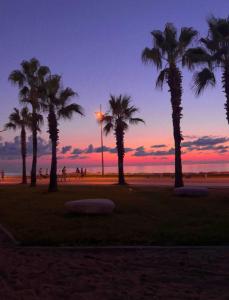 a group of palm trees on the beach at sunset at Orbi City D2 in Batumi