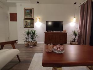 TV a/nebo společenská místnost v ubytování Jovevi Apartments