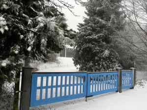 Ferienhaus Waldsiedlung v zimě