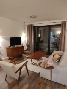 TV a/nebo společenská místnost v ubytování Jovevi Apartments