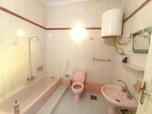 a bathroom with a pink toilet and a sink at Winji Guest house in Aswan +23 photos