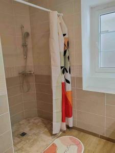 a shower with a shower curtain in a bathroom at Chez Hélène et Jérémy in Montargis
