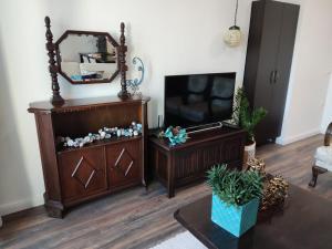 TV a/nebo společenská místnost v ubytování Jovevi Apartments