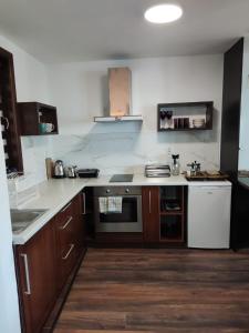Kuchyň nebo kuchyňský kout v ubytování Jovevi Apartments