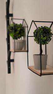 Φωτογραφία από το άλμπουμ του M&G comfort home στην Αλεξανδρούπολη