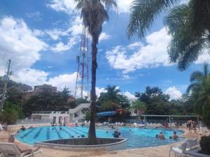 een zwembad met een palmboom in het midden bij Apartasol Familiar 2 in Santa Fe de Antioquia +12 foto's