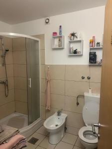 a bathroom with a shower and a toilet and a sink at Turistična kmetija Golej in Podčetrtek +13 photos