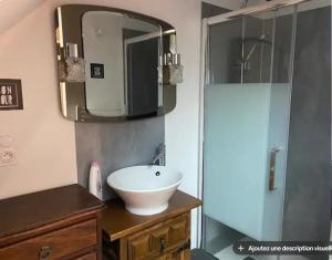 un bagno con lavandino e specchio di Appartements du val a Vitré Altre 11 foto