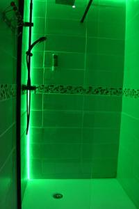 LOVEROOM avec JACCUZI Villa Les Pins في Marolles: دش مع ضوء أخضر في الحمام
