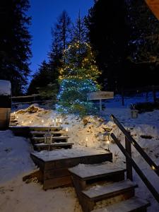 Fotografie z fotogalerie ubytování Schwabenhütte v destinaci Sirnitz-Sonnseite