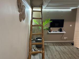 TV in/ali zabaviščno središče v nastanitvi Bwa K'nel