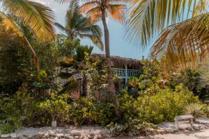 a house on the beach with palm trees and plants at Sorobon Luxury Beach Resort in Kralendijk +51 photos