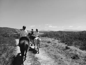 Hosté ubytování Garden Route Safari Camp