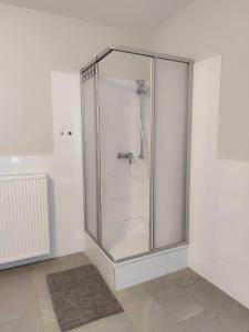a shower with a glass door in a bathroom at Ferienwohnung Belvie 2 in Butzbach