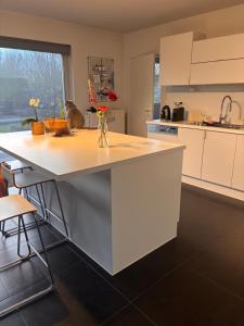 a kitchen with a white island with flowers in a vase at La maison noire au coin in Bruges