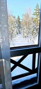 Apartman Lara - Divčigora a l'hivern