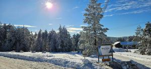 Apartman Lara - Divčigora a l'hivern