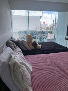 a bedroom with a bed with a teddy bear on it at Casa do hóspede in Balneário Camboriú