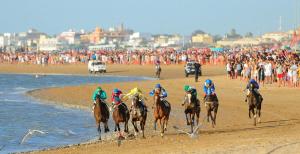 un grupo de caballos corriendo en la playa en Apartamento Al Sur del Sur, en Sanlúcar de Barrameda