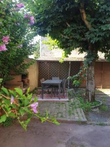 Jardí fora de Maison Comet 3 fotos més