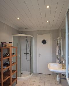 un bagno con doccia e lavandino di 269 Bel Ebat a Le Bois-Plage-en-Ré