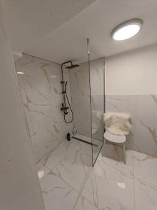 a bathroom with a glass shower with a toilet at Ferienwohnung in Frittlingen