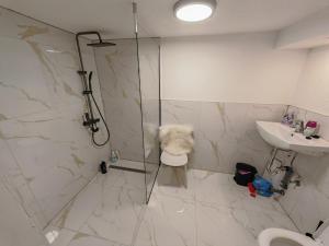 a bathroom with a shower and a sink at Ferienwohnung in Frittlingen