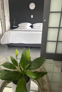 a bedroom with a bed and a potted plant at Nora's Place in Sedgefield