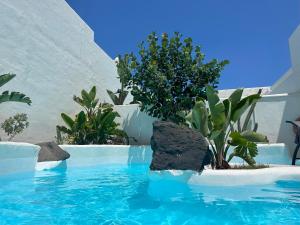 a swimming pool with blue water and plants at Natural Renacer Zen Baby Package Included in Corralejo
