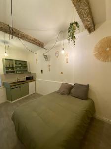 a bedroom with a large bed in a room at Location studio rue du sauvage in Arles