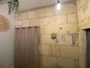 a bathroom with a brick wall and a shower at Location studio rue du sauvage in Arles