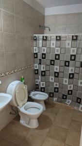 a bathroom with a toilet and a sink and a shower at Depto Pedro Vargas in San Rafael