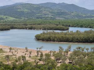 an aerial view of a river with trees and mountains at UMGAZANA LOOKOUT in Umngazana