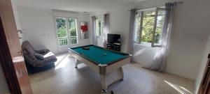 a room with a pool table and a chair at L'apicasa de Bassan in Bassan