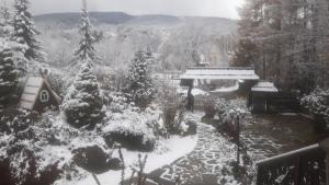 Domek nad rzeką v zime