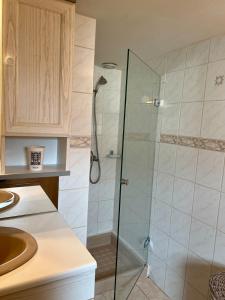 a bathroom with a shower and a sink at Casa Trinita -T3 -Centre Sainte-Féréole in Sainte-Féréole