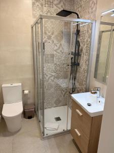 a bathroom with a shower and a toilet and a sink at APARTAMENTO TURISTICO LEO BAENA in Baena