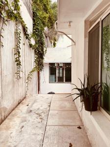 un pasillo vacío de una casa con una planta en Casa Luna Suites-4, en Monterrey