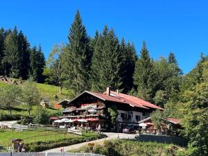 Příroda nedaleko apartmánu