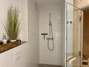 a bathroom with a shower with a glass door at Sonnenweg 46-6 WILDE 13 in Heringhausen +21 photos