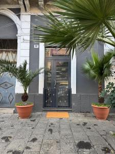 two palm trees in pots in front of a door at Attardo's House in Catania